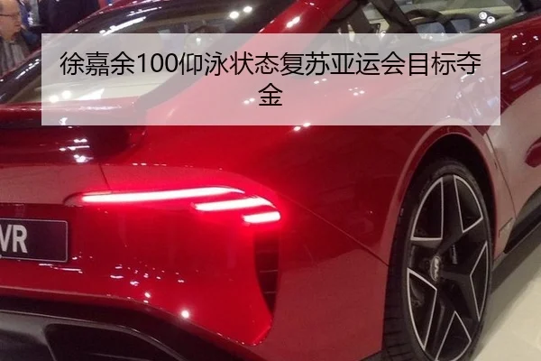 徐嘉余100仰泳状态复苏亚运会目标夺金