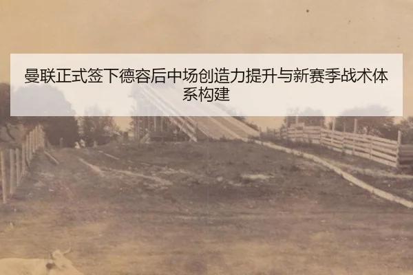 man-lian-zheng-shi-qian-xia-de-rong-hou-zhong-chang-chuang-zao-li-ti-sheng-yu-xin-sai-ji-zhan-shu-ti-xi-gou-jian-3-174.jpg